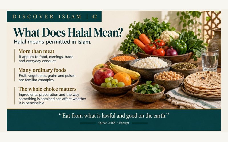 What halal and haram mean